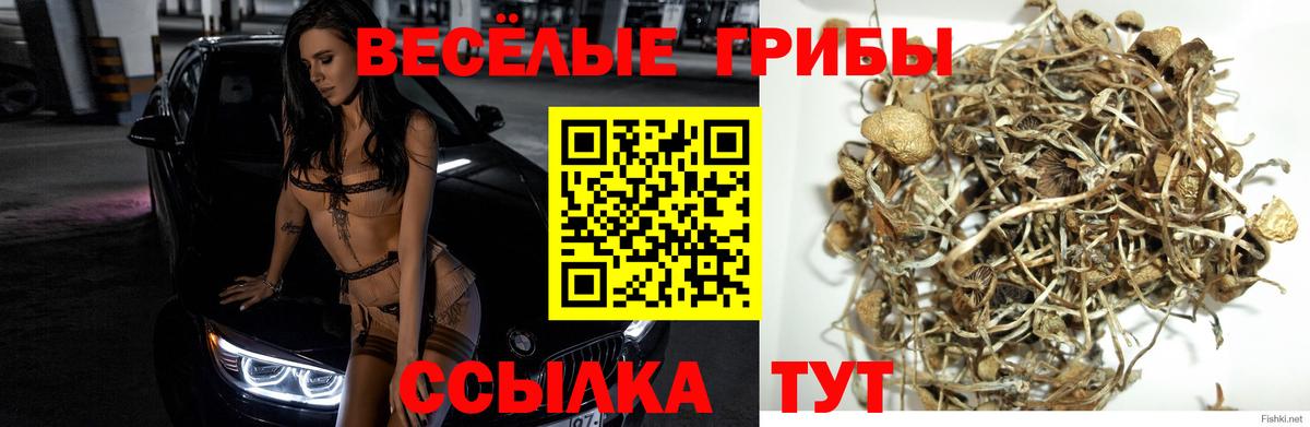Норильск  где можно купить   Вход с VPN  Галлюциногенные грибы прущие грибы 